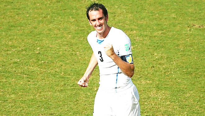 Diego Godin: 