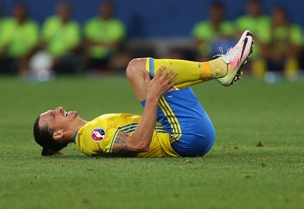 Ibra không thể giúp Thụy Điển tiến xa. Ảnh: Internet.