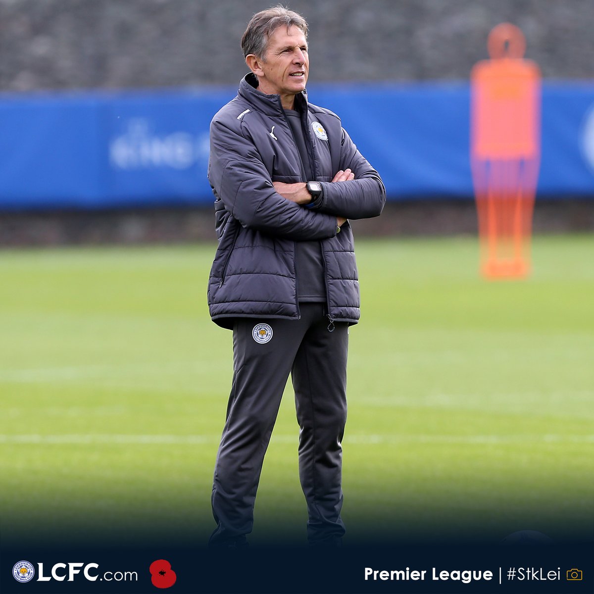 Tinh thần của Bầy cáo đang khá thoải mái.