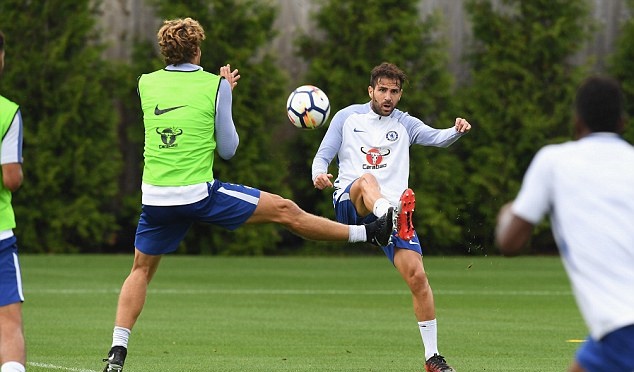 Fabregas và Alonso - 2 cầu thủ không được triệu tập lên tuyển.