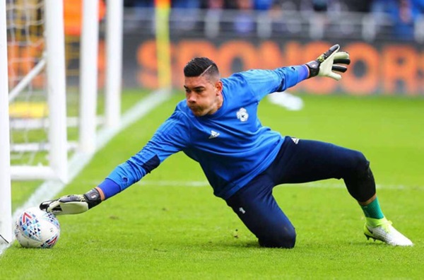 Neil Etheridge (Cardiff City, Philippines): Thủ môn Etheridge là niềm tự hào của bóng đá Đông Nam Á khi chơi thăng hoa trong màu áo Cardiff. Thành tích 62 pha cứu thua của Etheridge từ đầu mùa chỉ kém hơn hai thủ môn Fabianski (66 pha) và Hart (72). Etheridge đã xuất sắc cản phá 2 quả penalty cho Cardiff.