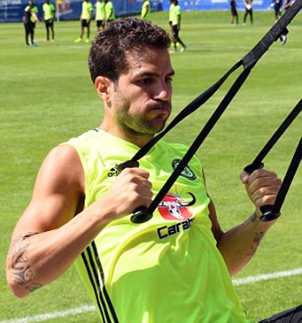 Và Cesc Fabregas, người vừa trải qua một mùa giải thất vọng.