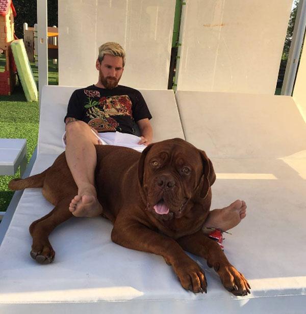Messi cùng “bạn” nằm thư giãn trong vườn nhà, siêu sao Barca thể hiện sự thân thiết bằng cách gác chân lên người chó cưng. Ảnh: Internet.