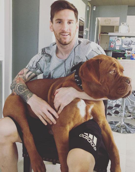 Chú chó của Messi lớn nhanh như thổi so với vài tháng trước... Ảnh: Internet.