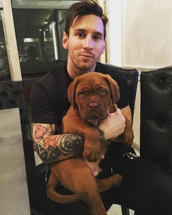 ... và hồi đầu tháng 1. Một fan bình luận vui: "Messi chắc chắn tốn kém tiền thức ăn để chú chó lớn nhanh như vậy". Ảnh: Internet.