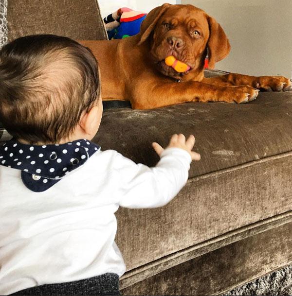 Bạn gái Antonella Roccuzzo thường xuyên khoe ảnh của hai người bạn thú thân thiết trong gia đình. Ảnh: Internet.