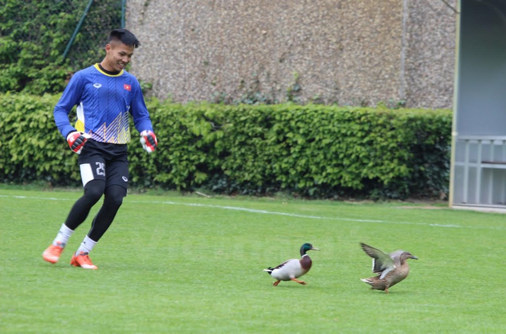 Hai vị 'khách không mời' xuất hiện trên sân tập của đội tuyển U20 Việt Nam. Ảnh: Phạm Văn Thắng.