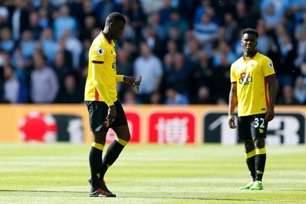 Chú chim non gián đoạn trận đấu: Một chú chim mới lớn đã vô tình gián đoạn trận đấu giữa Watford và Man City. Chung cuộc, Man City vẫn có thắng lợi 5-0 và vào thẳng vòng bảng Champions League.