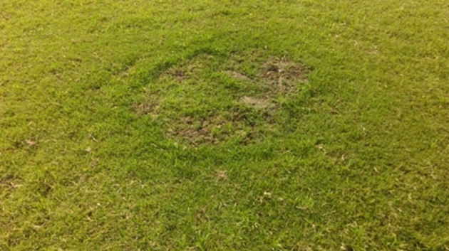 Mặt sân cỏ rất xấu. Ảnh: VFF.