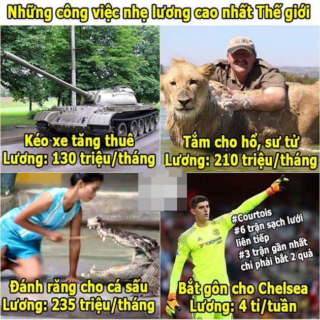 Vị trí mơ ước. Ảnh: Internet.