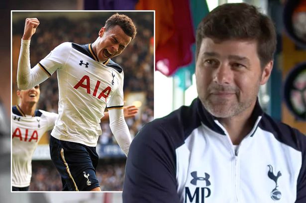 Alli giống như một chú ngựa hoang dã. Ảnh: Internet.