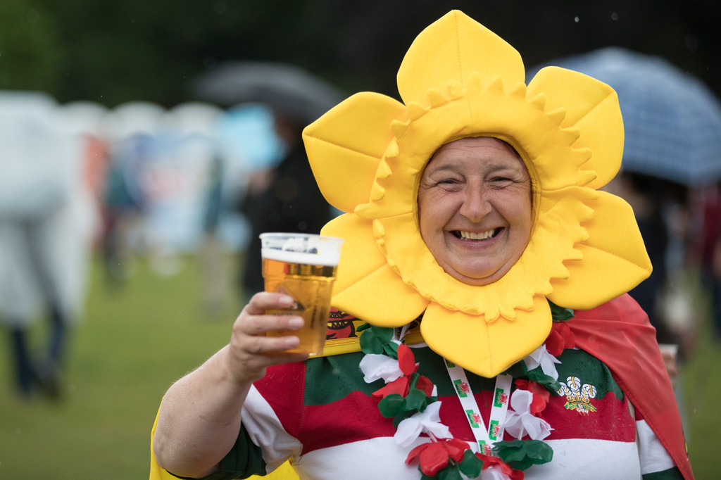 "Bông hoa" của Xứ Wales. Ảnh: Internet.