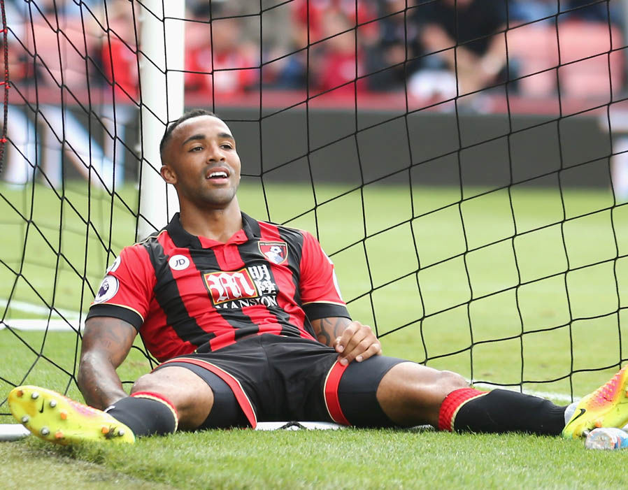 Bournemouth - 11 lần. Ảnh: Internet.