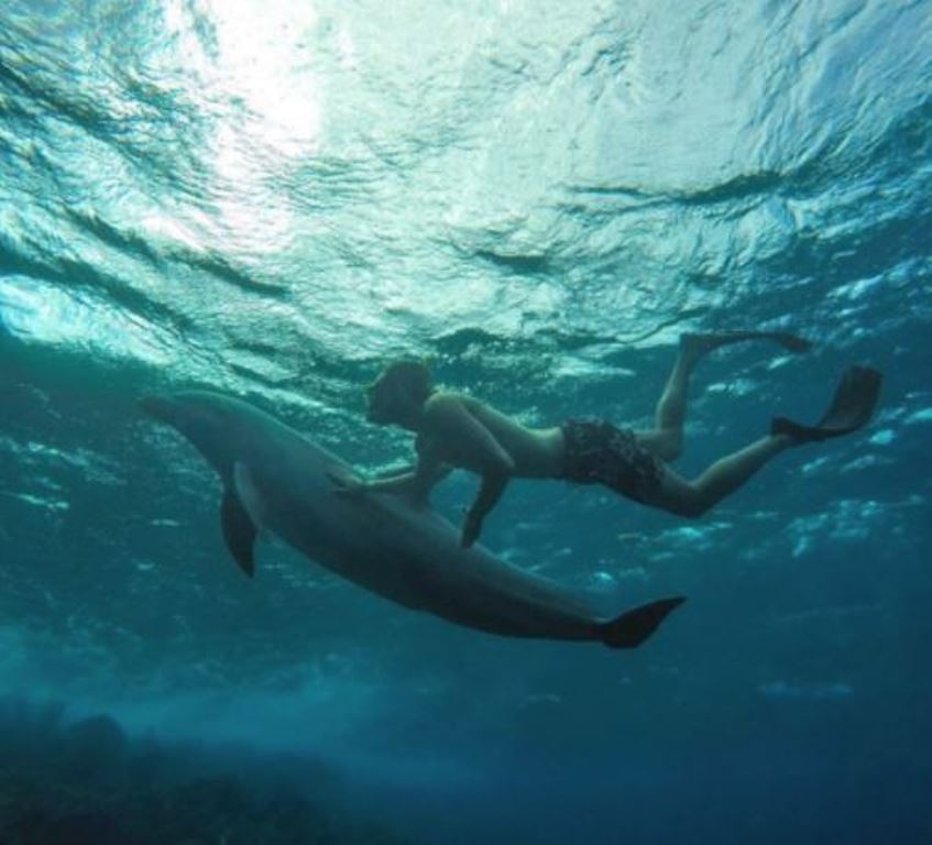 Blind tự tin khoe dáng dưới biển sâu.