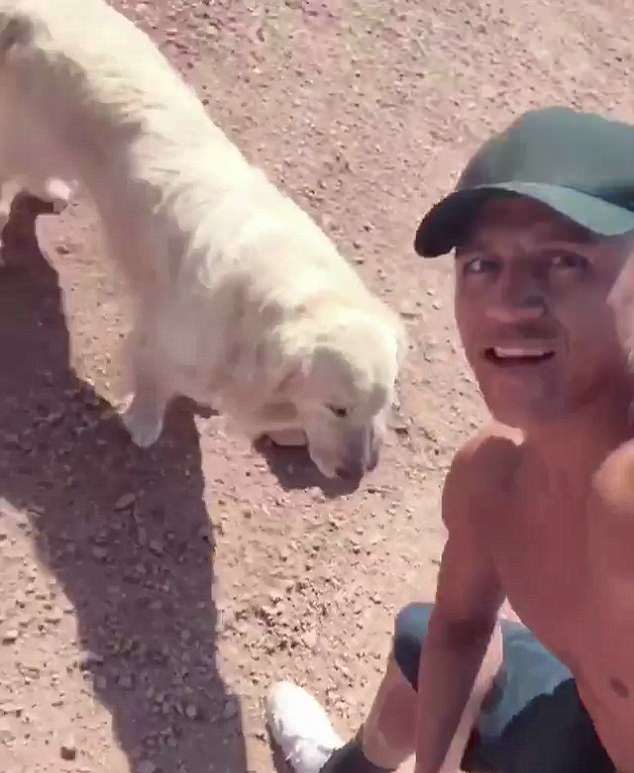 Lỡ World Cup, Alexis Sanchez giải sầu với 2 chú chó cưng - Bóng Đá