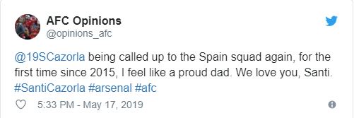 Fan Arsenal: