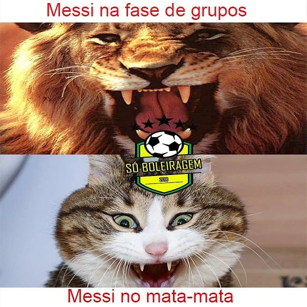 Một số fan trêu rằng Messi chỉ là hổ khi ở vòng bảng thôi.