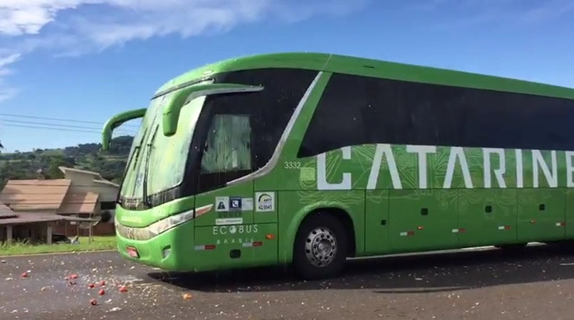 Xe buýt của tuyển Brazil bị CĐV tấn công bằng gạch đá, trứng - Bóng Đá