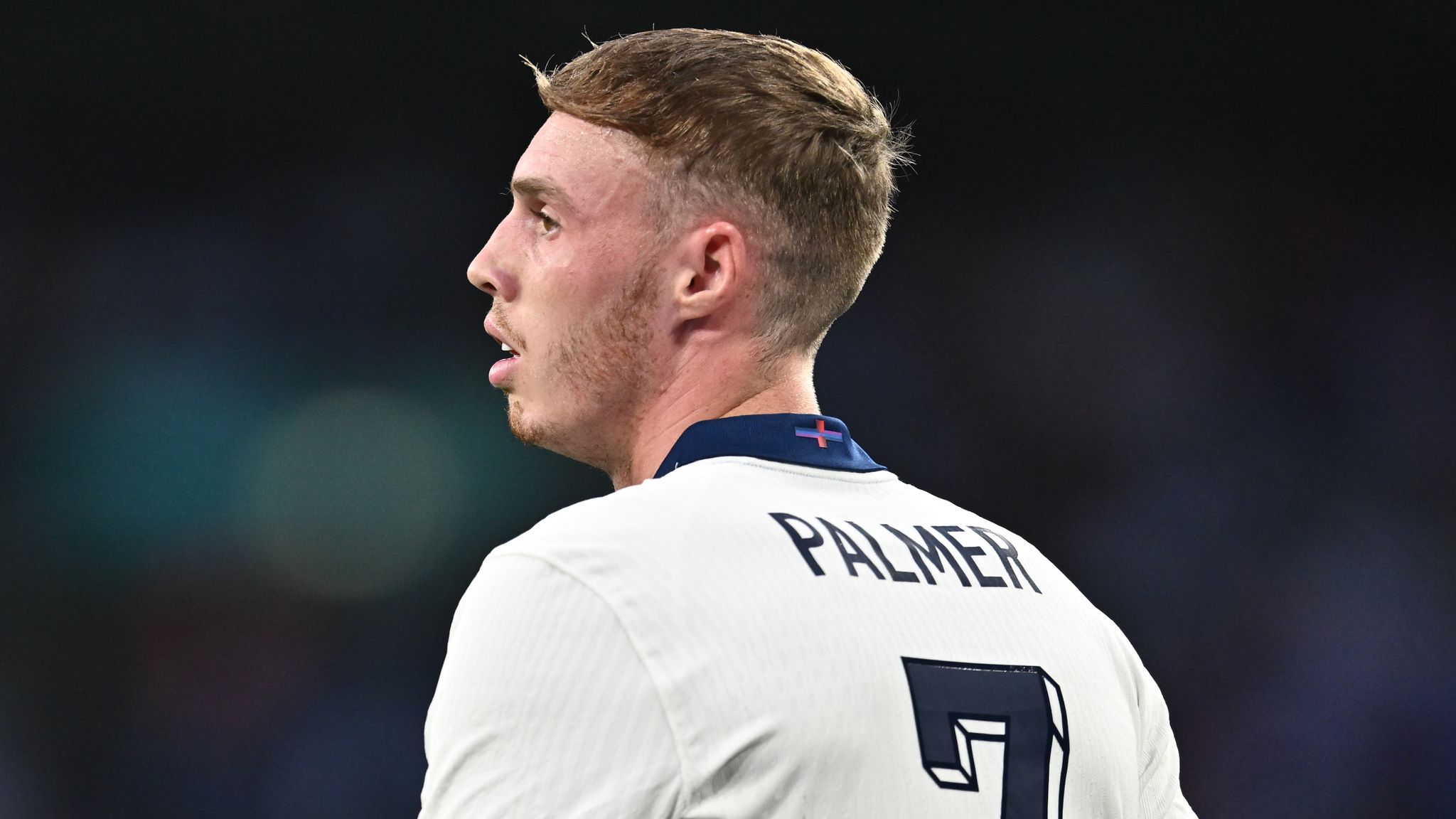 Palmer có 2 trận đấu tích cực trước Bosnia cũng như Iceland.