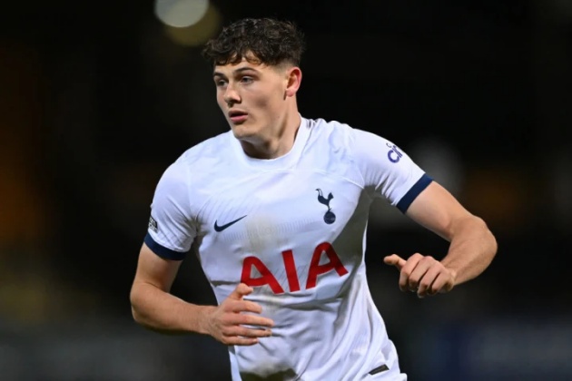 Will Lankshear là tài năng đáng chú ý của Spurs.