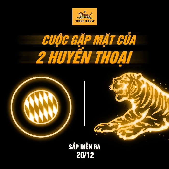Khi “Hùm phương Tây” chạm mặt “Hổ phương Đông” và sự đồng điệu thú vị về tinh thần