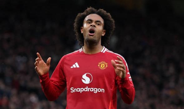 Joshua Zirkzee xin lỗi người hâm mộ Manchester United.
