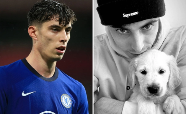 Chelsea star Kai Havertz isolates with his pet dog after Lampard reveals his coronavirus symptoms have ‘escalated’ - Bóng Đá