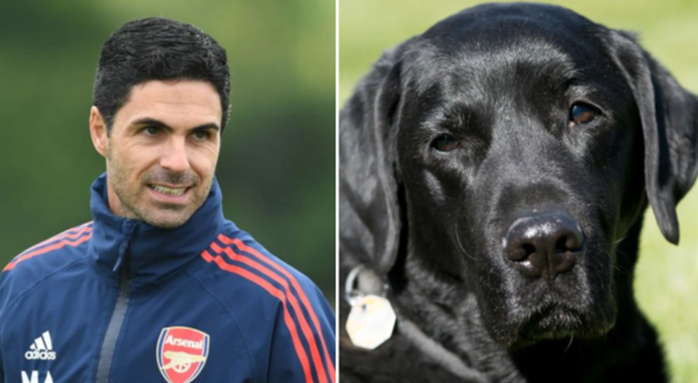 Mikel Arteta buys dog for Arsenal training ground and names it ‘Win’ in latest gimmick - Bóng Đá