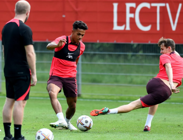 Steve McManaman suggests Liverpool have two youngsters out on-loan who are good enough for the first-team - Bóng Đá