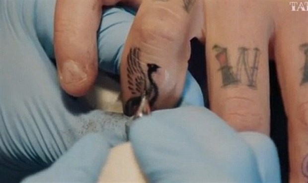 Pin by Christy Klein on Tattoos | Liverpool tattoo, Cover tattoo, Lfc tattoo