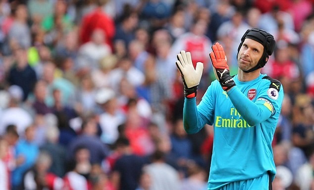 cech-8