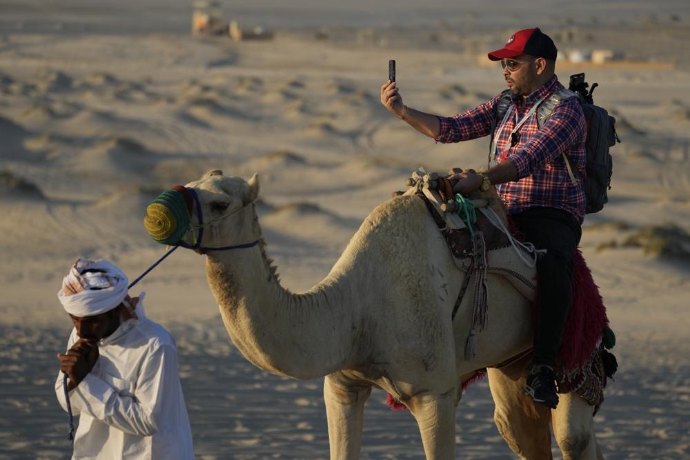 Lạc đà Qatar 'còng lưng' vì World Cup - Bóng Đá