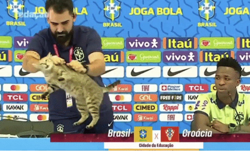 Thành viên tuyển Brazil ném con mèo trong buổi họp báo - Bóng Đá
