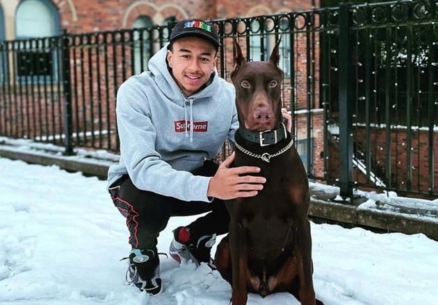 England ace Kyle Walker shells out £40,000 for a guard dog after raids on footballers’ homes - Bóng Đá