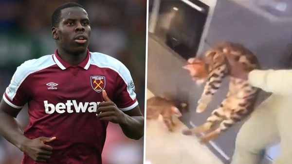Police investigating Kurt Zouma animal abuse as adidas issue statement on West Ham defender - Bóng Đá