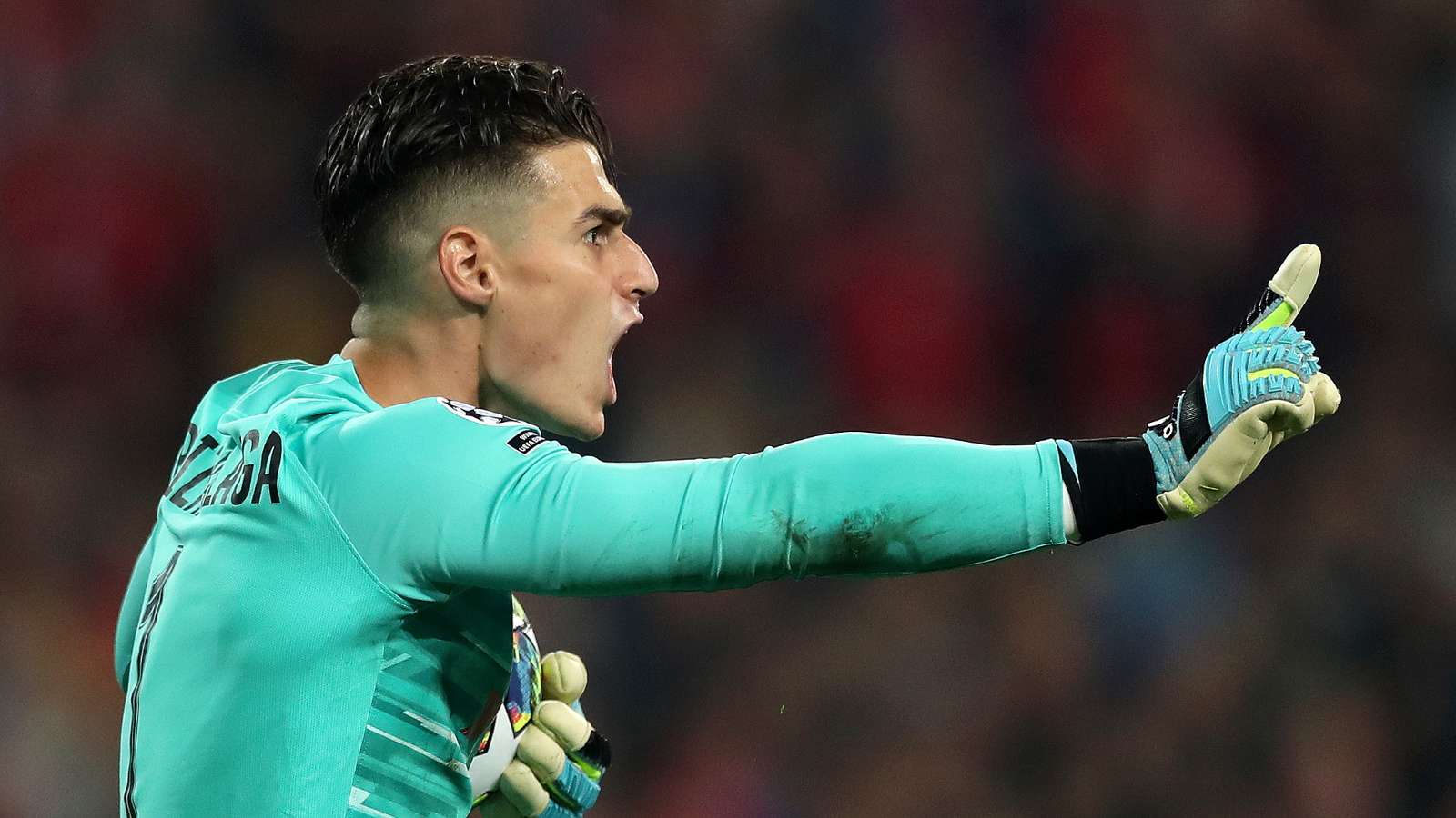 Kepa could easily be Chelsea's goalkeeper for the next 15 years, says Schwarzer - Bóng Đá