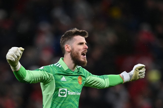 ‘Man Utd are mid-table without him’ – Andy Cole singles out important Red Devils star David de Gea - Bóng Đá