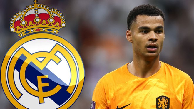 Man Utd transfer blow as they ‘face stiff competition from Real Madrid’ for World Cup sensation Cody Gakpo in January - Bóng Đá