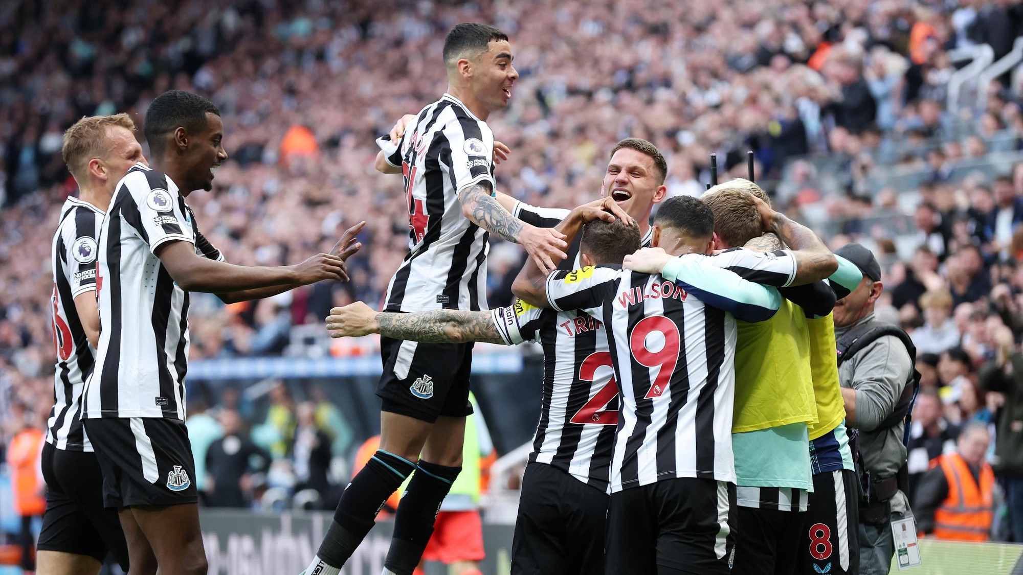 England star Callum Wilson out for six weeks as Newcastle’s injury crisis worsens - Bóng Đá