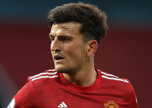 Harry Maguire hailed as 