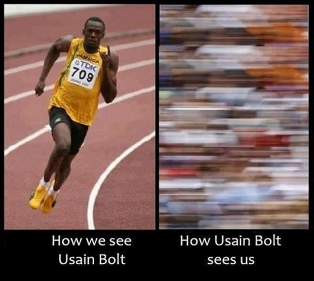 Bolt6