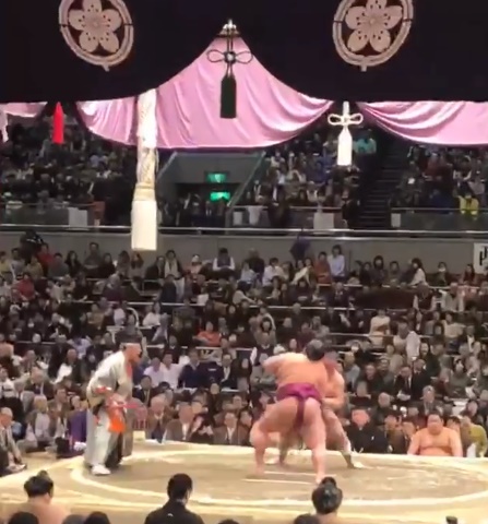 Podolski lên sàn sumo - Bóng Đá