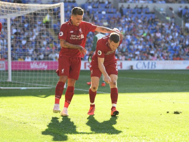 Milner tiết lộ lý do ăn mừng là vì Van Dijk - Bóng Đá