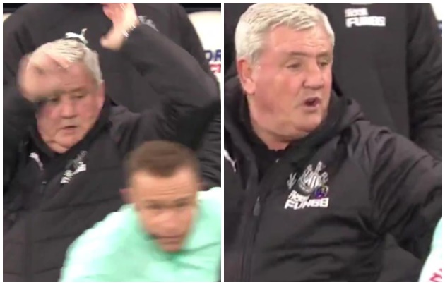 Over-excited Steve Bruce accidentally ELBOW linesman in the face after Callum Wilson misses chance vs Liverpool - Bóng Đá