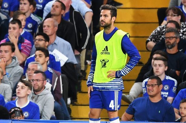 Bị Conte ngó lơ, Fabregas sắp rời Chelsea?