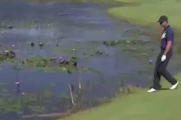 Ảnh bài viết Tay golf cả gan trêu ngươi cá sấu ở Olympic Rio