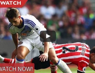 Ảnh bài viết Màn trình diễn của Adnan Januzaj vs Southampton FC 