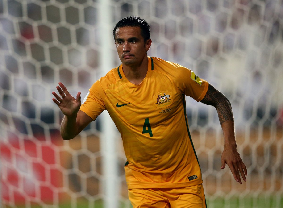 Ngày Tim Cahill giải cứu "Chuột túi"