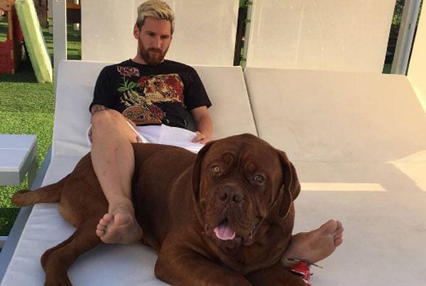 Messi khoe chó khổng lồ dọa trộm