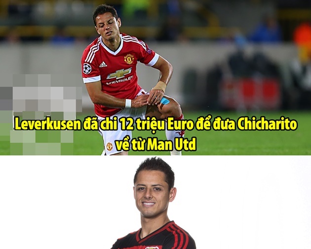 Ảnh chế: LORD Bendtner ban phước lành cho Lewandowski; Chicharito tát vào mặt thương hiệu của FC Thuốc Nhuộm